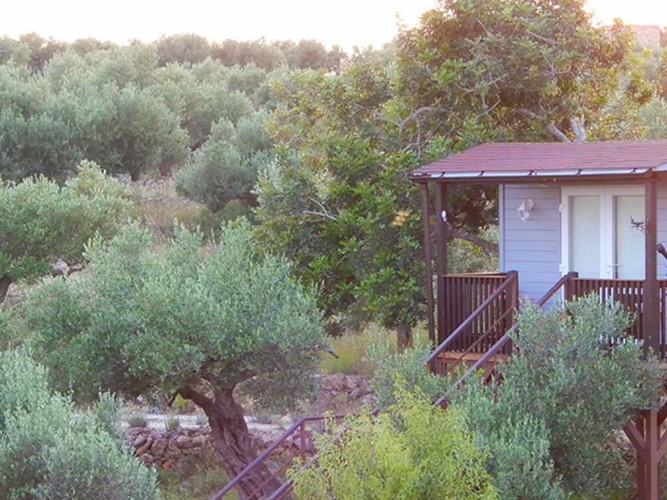 Landejendom i L'Ampolla, Tarragona - foto 4